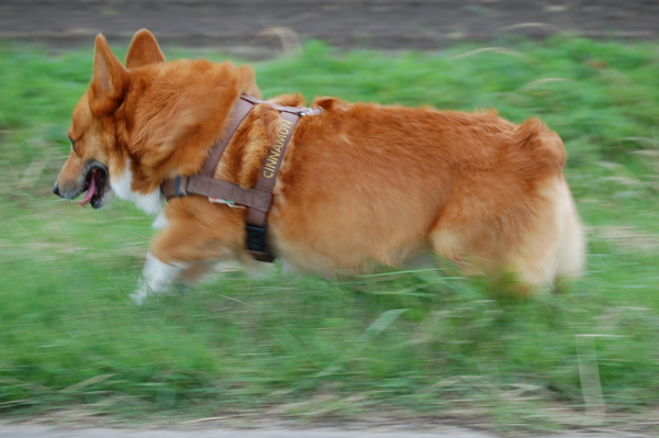 f:id:rikuzen:20080623173522j:image
