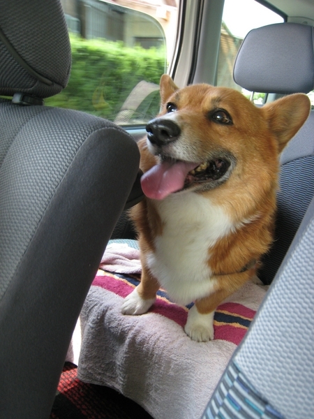 f:id:rikuzen:20080720143026j:image