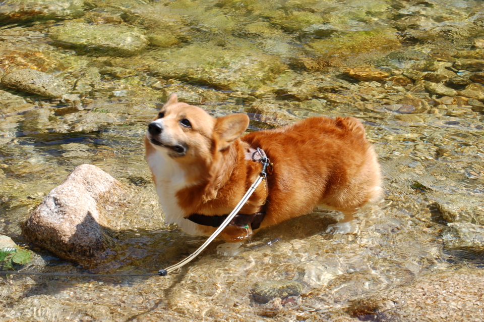 f:id:rikuzen:20080720145154j:image