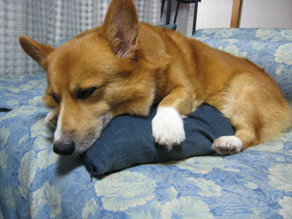 f:id:rikuzen:20080905233255:image