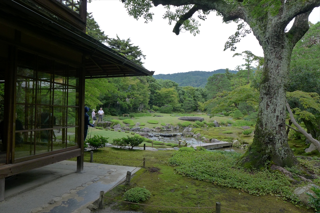 f:id:rikyudo:20190716001459j:plain f:id:rikyudo:20190716001459j:plain