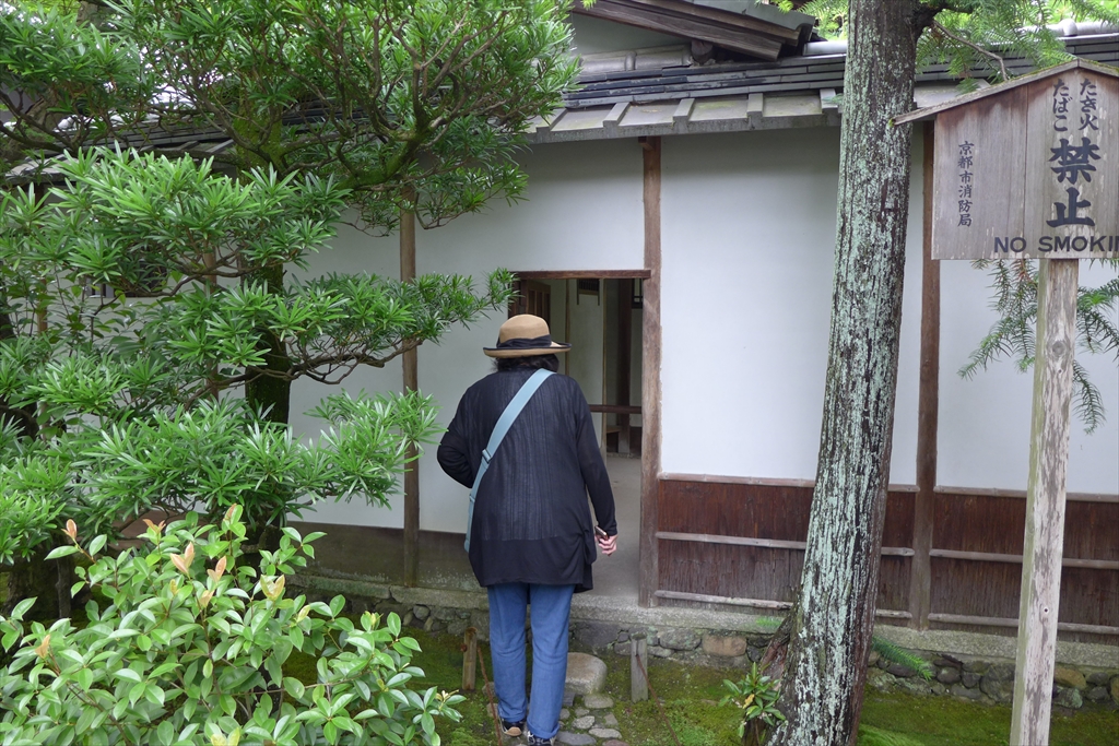 f:id:rikyudo:20190716003839j:plain f:id:rikyudo:20190716003839j:plain