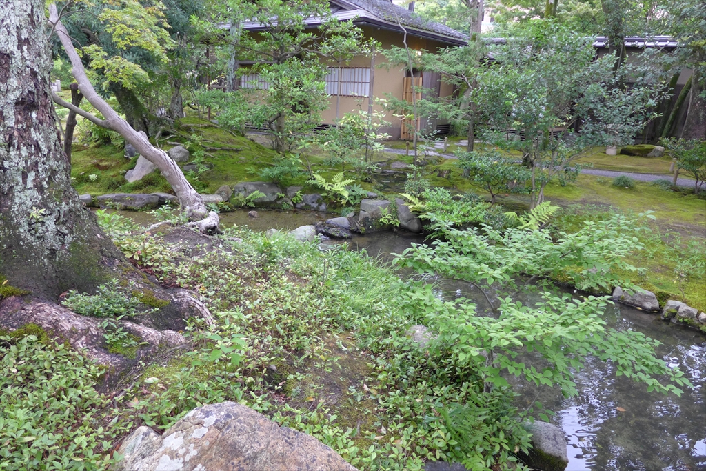 f:id:rikyudo:20190716004638j:plain f:id:rikyudo:20190716004638j:plain