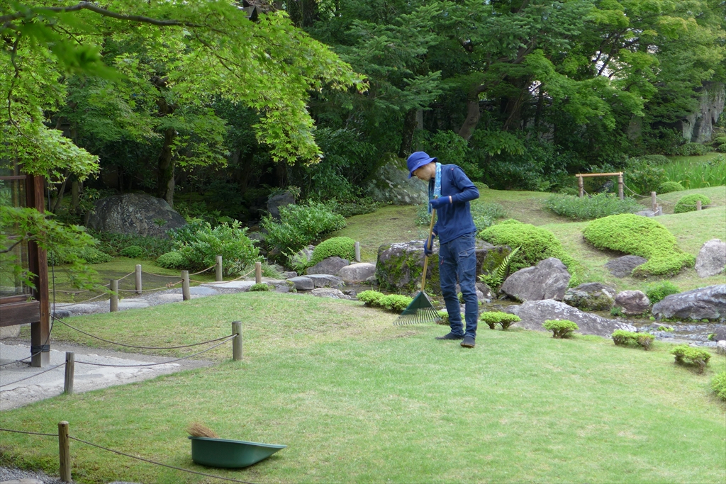 f:id:rikyudo:20190716004734j:plain f:id:rikyudo:20190716004734j:plain