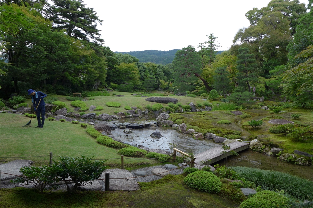 f:id:rikyudo:20190716005904j:plain f:id:rikyudo:20190716005904j:plain