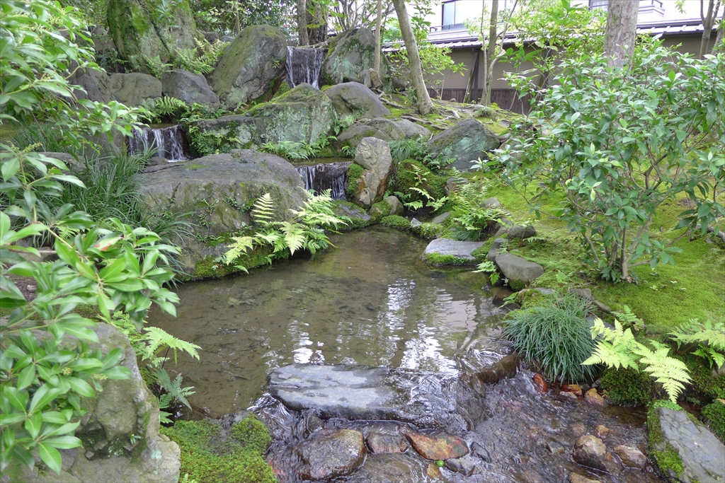 f:id:rikyudo:20190716010606j:plain f:id:rikyudo:20190716010606j:plain