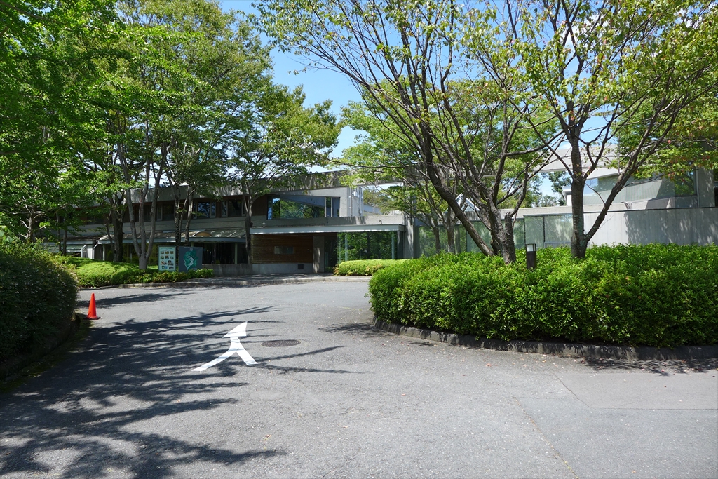 f:id:rikyudo:20190812013522j:plain f:id:rikyudo:20190812013522j:plain