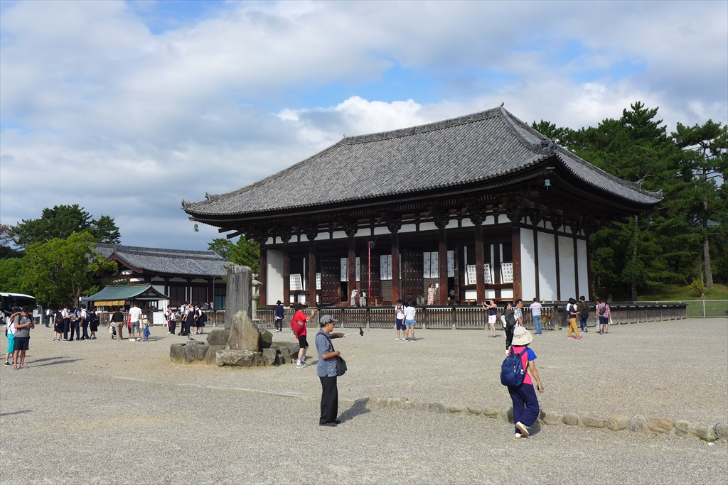 f:id:rikyudo:20190917002621j:plain f:id:rikyudo:20190917002621j:plain