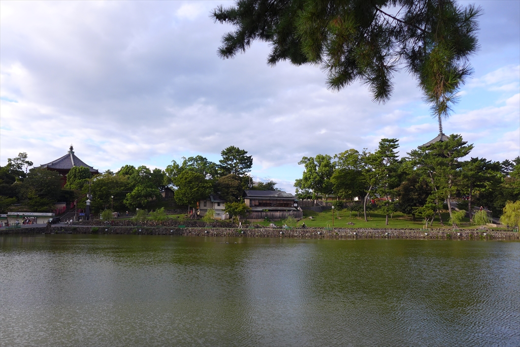 f:id:rikyudo:20190917010604j:plain f:id:rikyudo:20190917010604j:plain