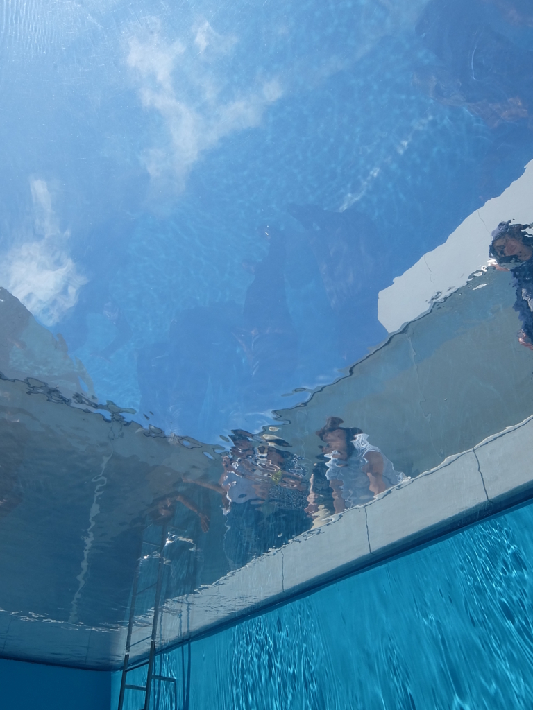 f:id:rikyuiro:20180804115220j:plain f:id:rikyuiro:20180804115220j:plain