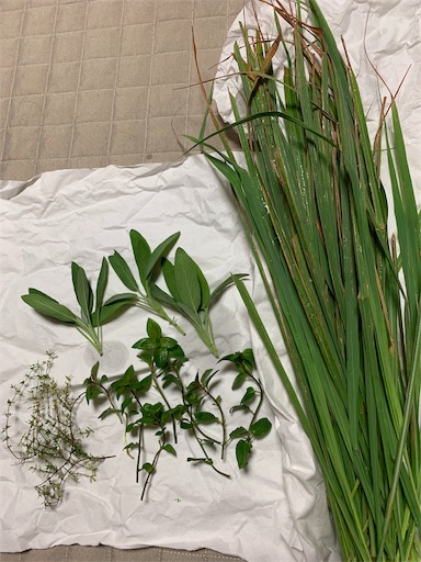 f:id:rilakkma:20191015173948j:image f:id:rilakkma:20191015173948j:image