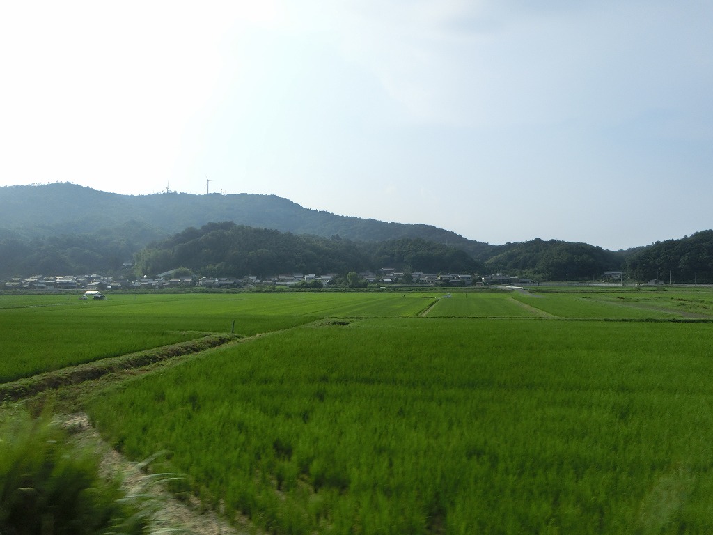 f:id:rilyyyy:20190803210124j:plain f:id:rilyyyy:20190803210124j:plain