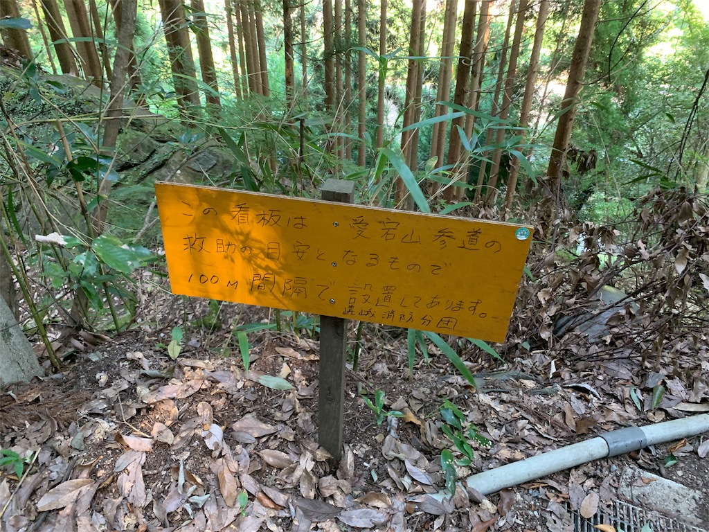 f:id:rilyyyy:20190805193100j:image f:id:rilyyyy:20190805193100j:image