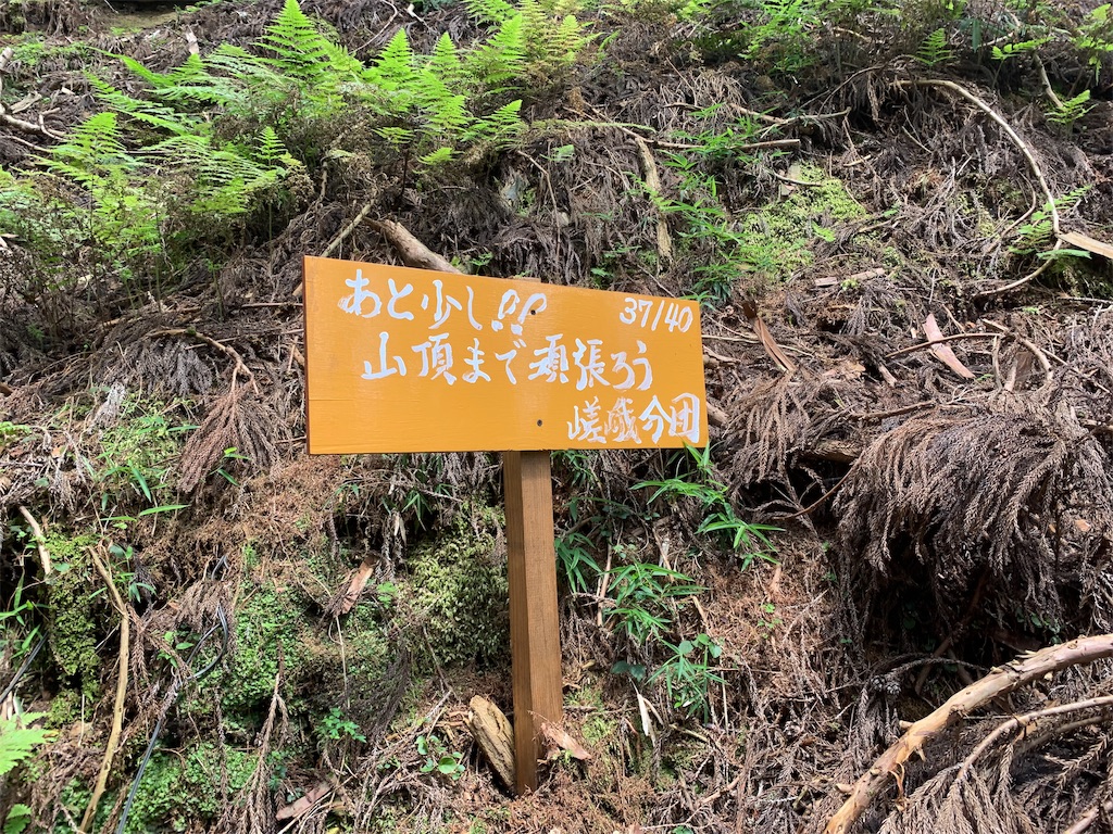 f:id:rilyyyy:20190805195547j:image f:id:rilyyyy:20190805195547j:image