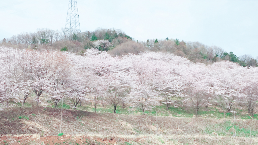 f:id:rimapamin:20170409201632j:plain f:id:rimapamin:20170409201632j:plain