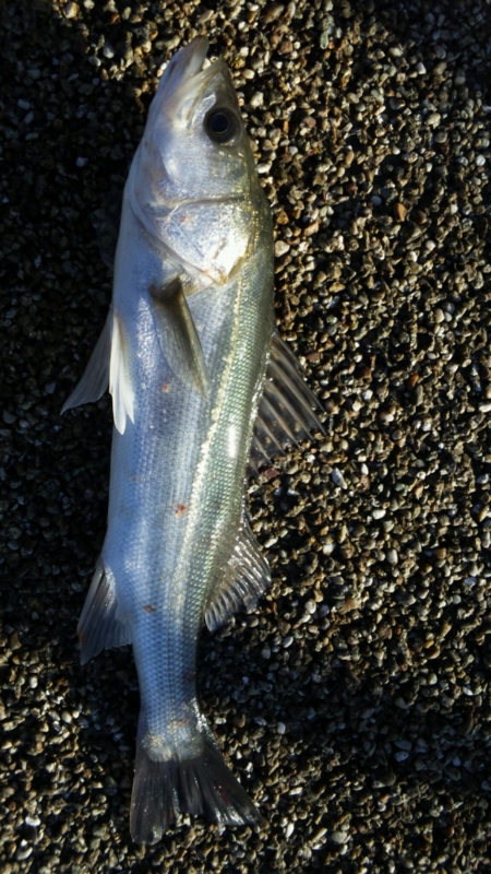 20121026102615