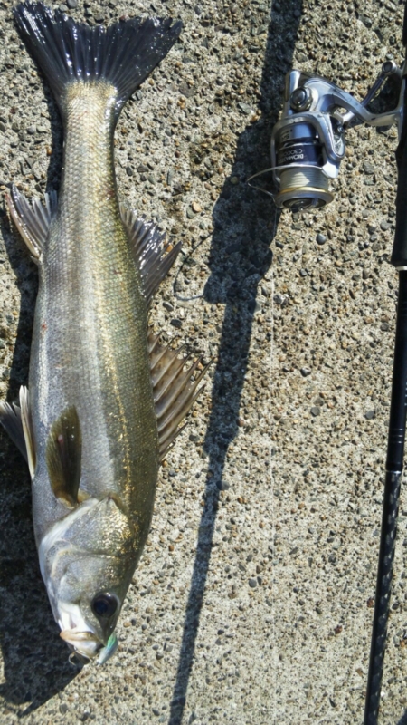 20121026211908
