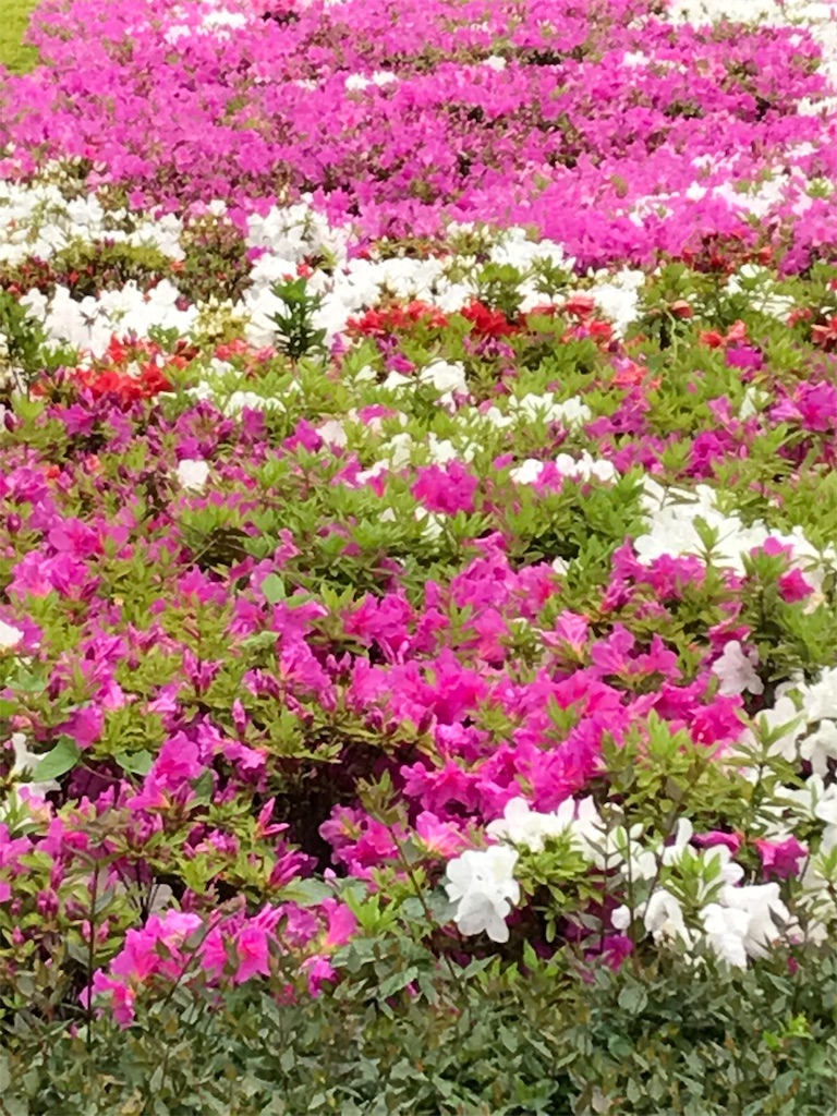 f:id:rimikito:20190502144010j:image