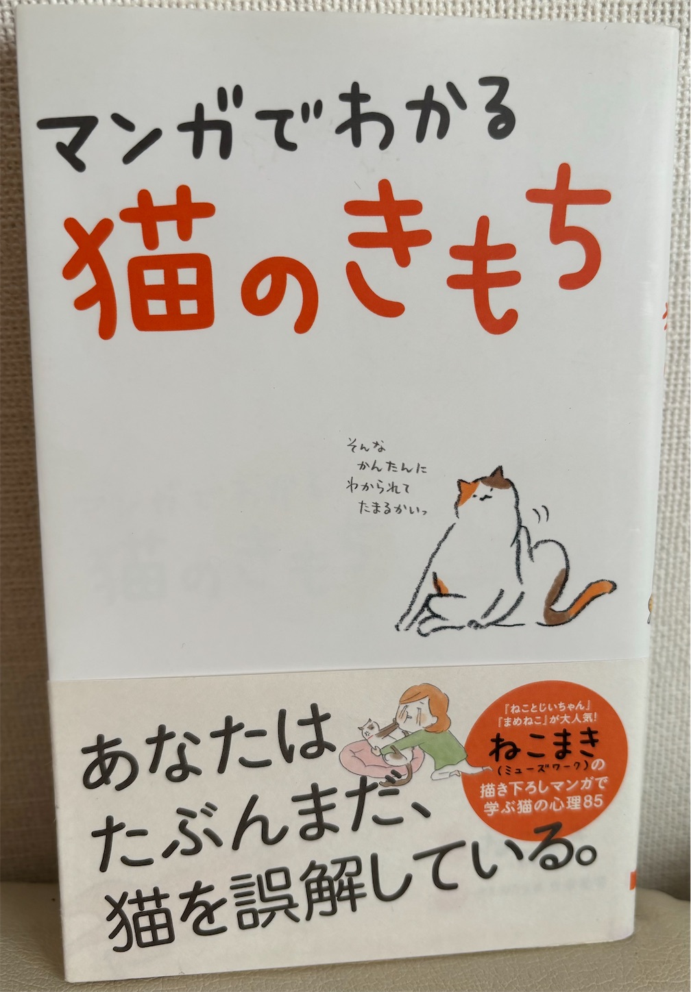 f:id:rimikito:20240210185932j:image f:id:rimikito:20240210185932j:image