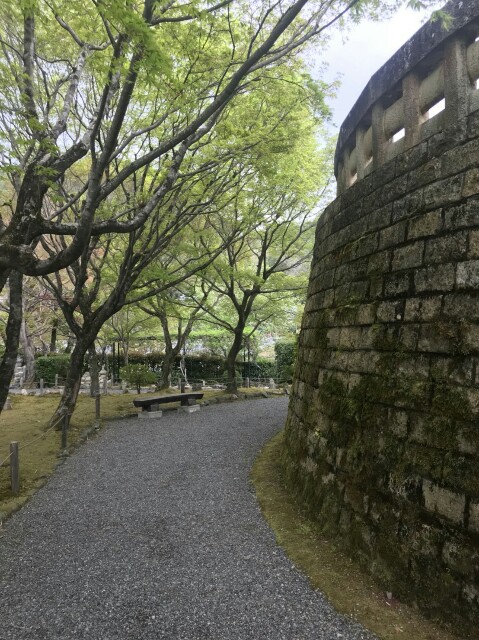 f:id:rimosan054:20180413220347j:plain