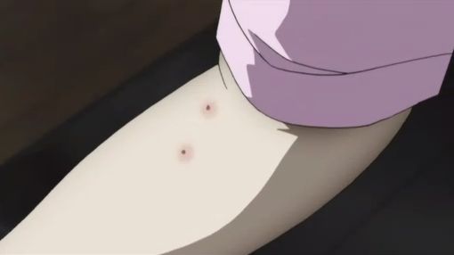 イメージ 8