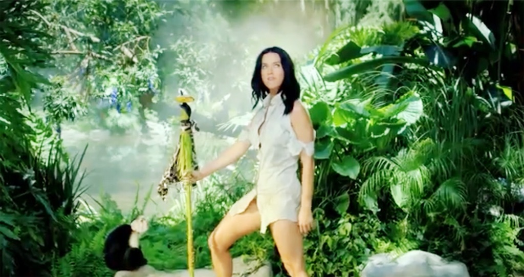Roar ケイティ・ペリー(Katy Perry) - 洋楽BOX ~洋楽をひたすら和訳するブログ~ Roar ケイティ・ペリー(Katy Perry) - 洋楽BOX ~洋楽をひたすら和訳するブログ~