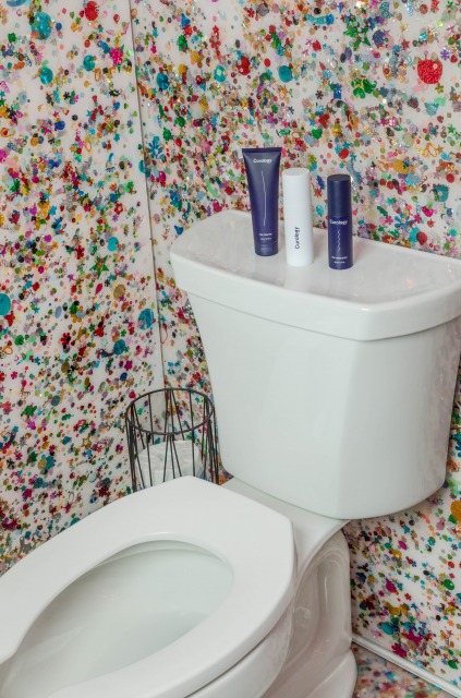 アメリカのトイレ事情１０選 日本とは全く違う ー世界へのdoorー