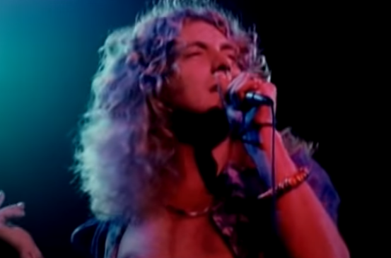 Black Dog Led Zeppelin (レッド・ツェッペリン) - 洋楽BOX