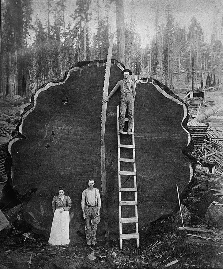 あなたは写真をみて何を考える 歴史的瞬間を捉えた写真１５選 ー世界へのdoorー