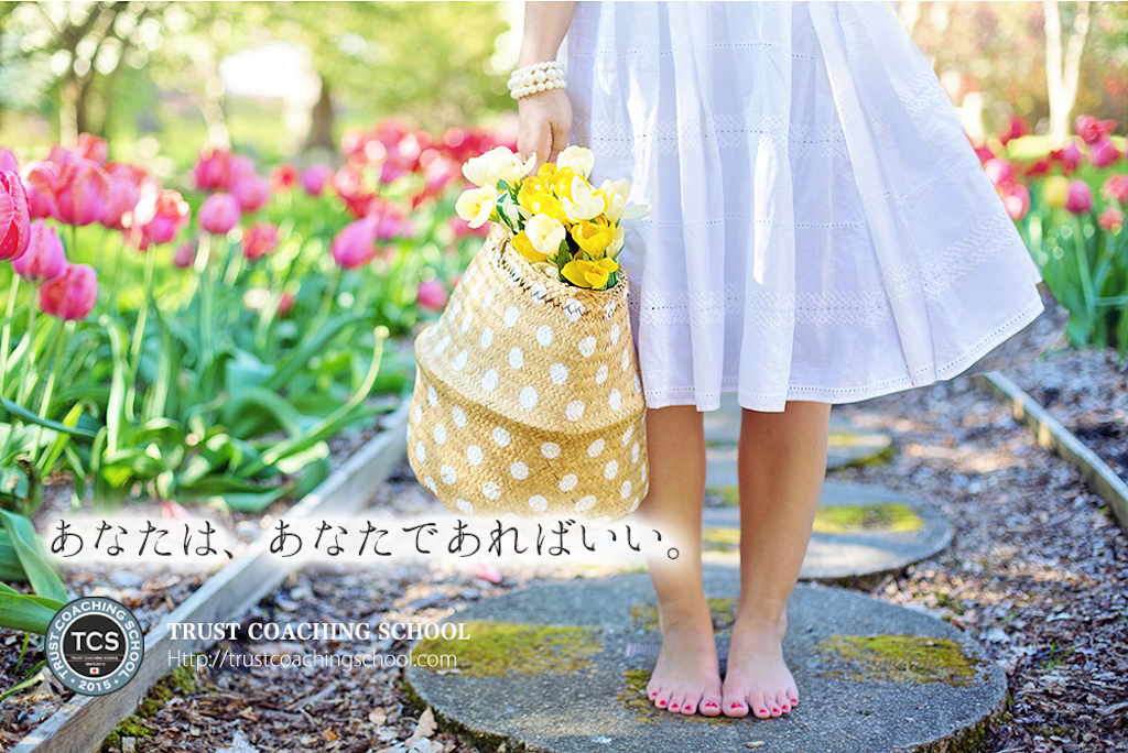 f:id:rin0217:20181204171459p:image