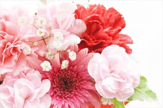 f:id:rin0217:20200511002223j:plain f:id:rin0217:20200511002223j:plain