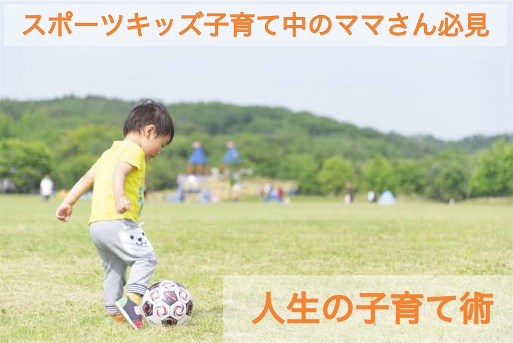 f:id:rin_0731:20230808005824j:image f:id:rin_0731:20230808005824j:image