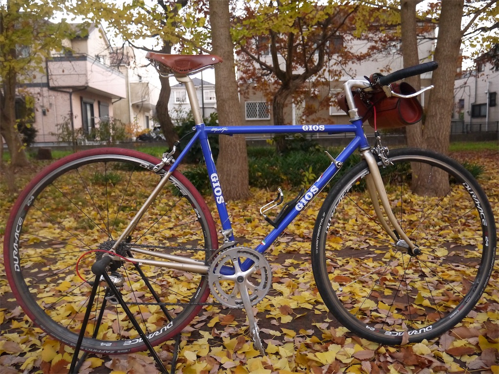 女性用Brooks B17 S Specialサドルを買った話 - クロモリと神社と革と