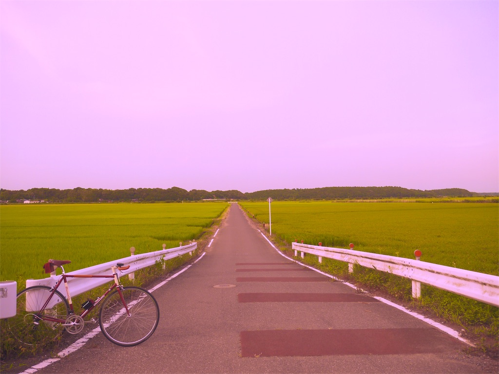 f:id:rin_efficiency:20180724024918j:image