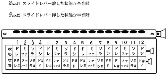 f:id:rin_to_bon:20200728213101j:plain f:id:rin_to_bon:20200728213101j:plain