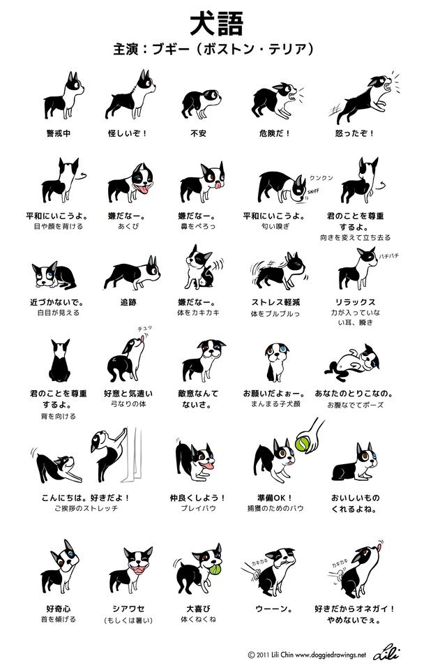 f:id:rin_to_bon:20200915010104j:plain f:id:rin_to_bon:20200915010104j:plain