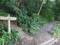 f:id:rina-chan:20170720134420j:image