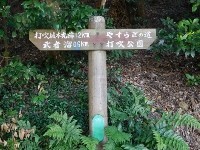 f:id:rina-chan:20170720134423j:image