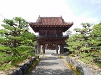 f:id:rina-chan:20170720134723j:image