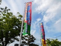 f:id:rina-chan:20170720202948j:image