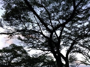 f:id:rina-chan:20180809105357j:image