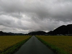 f:id:rina-chan:20180905093852j:image