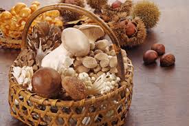 f:id:rina358:20190906193421j:plain