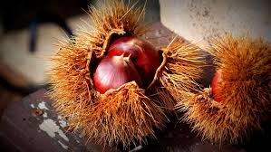 f:id:rina358:20190909182311j:plain