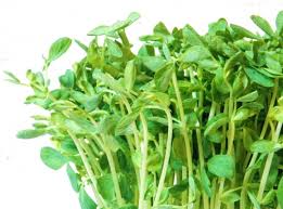 f:id:rina358:20190910173500j:plain