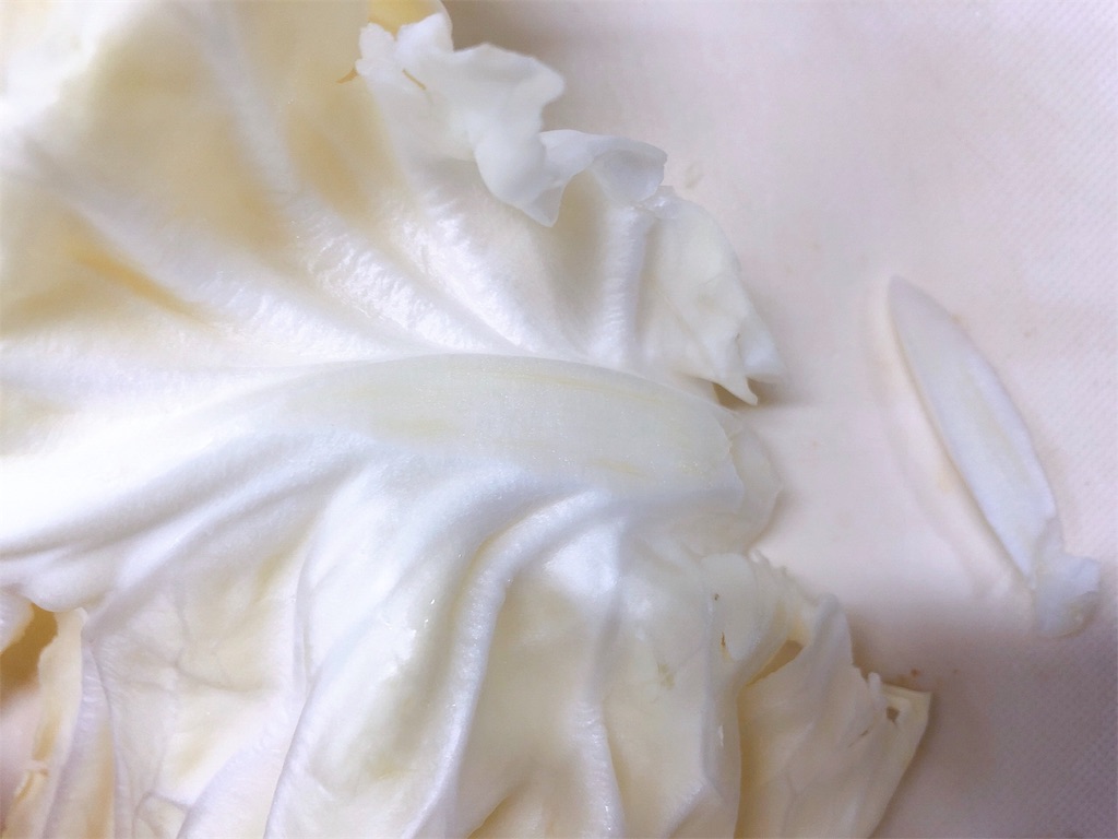 f:id:rina358:20191013144530j:image