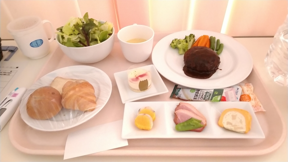 f:id:rina77neco:20190809145224j:plain