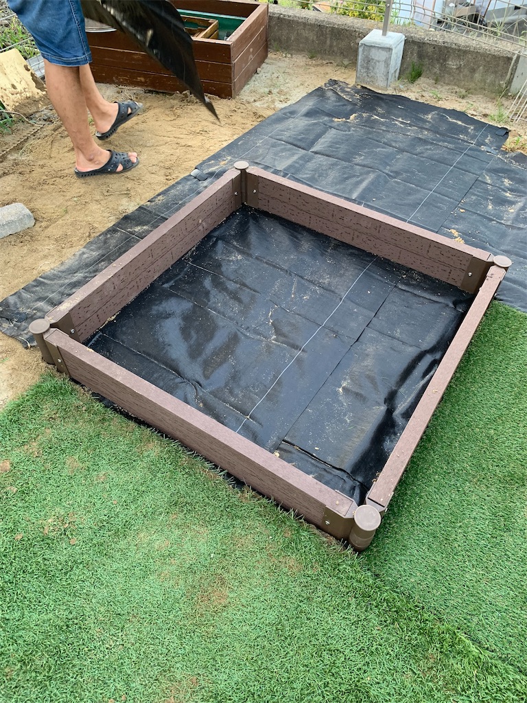 f:id:rinamemo:20210831144947j:image