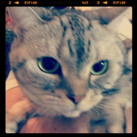 f:id:rinanan22:20121129154108j:image