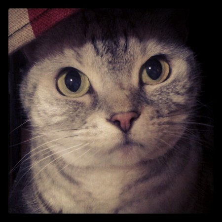 f:id:rinanan22:20121218153812j:image